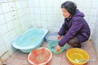 做婆婆的注意事項,婆婆要再婚注意事項,送婆婆禮物注意事項