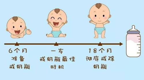 孩子戒奶注意事項