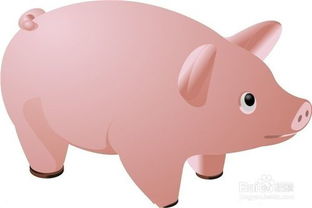 養(yǎng)豬,注意事項(xiàng)