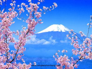 日本人賞花注意事項(xiàng)