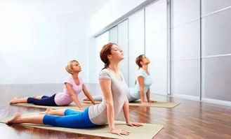 練瑜伽的注意事項有哪些,練瑜伽前的注意事項有哪些,練瑜伽注意事項初學者