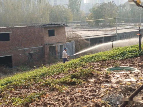 清潔灌溉的注意事項(xiàng),園林植物灌溉常用方法,灌溉注意事項(xiàng)有哪些