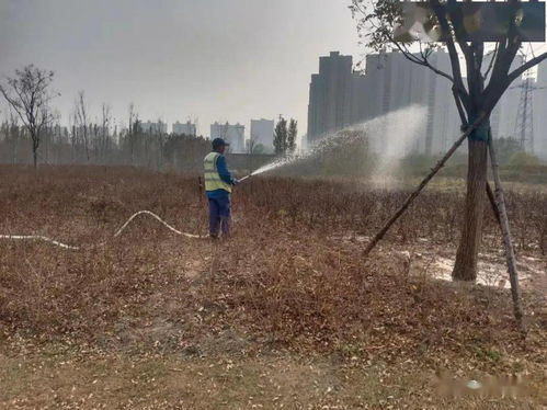 灌溉,注意事項(xiàng),園林,植物