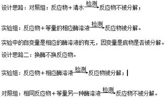 測量,注意事項,實驗