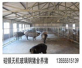 豬圈,注意事項(xiàng),建設(shè)