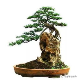 過程中,注意事項(xiàng),制作,有哪些