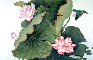 工筆畫(huà),注意事項(xiàng)