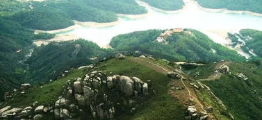 進(jìn)山游玩注意事項,黃楊移栽注意事項,黃楊澆水注意事項