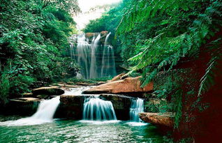 貴州赤水旅游注意事項(xiàng)