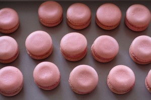 注意事項(xiàng),制作,卡龍