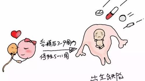 注意事項(xiàng),早孕,藥流后