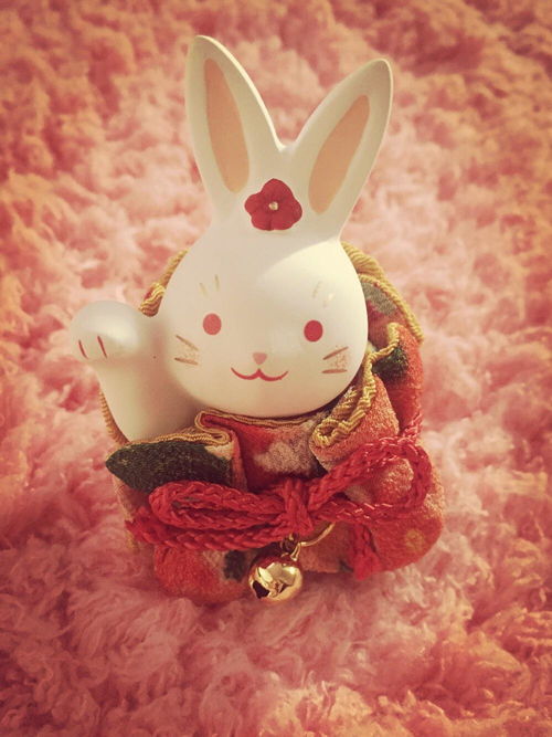 養(yǎng)兔子的注意事項(xiàng),兔子洗澡注意事項(xiàng),夏天養(yǎng)兔子注意事項(xiàng)