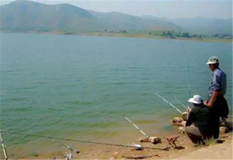 水庫(kù)放魚(yú)注意事項(xiàng)