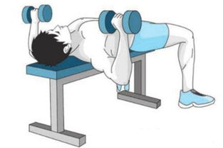 平板握推訓練前的注意事項