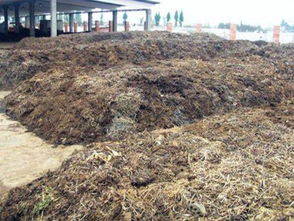 有機(jī)肥有機(jī)質(zhì)含量測定注意事項(xiàng)