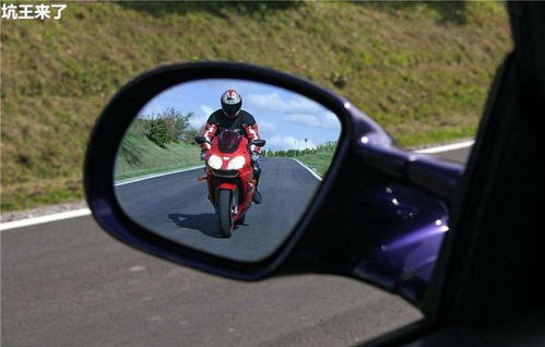 野外,注意事項(xiàng),開(kāi)車(chē)