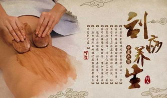 拔罐理療注意事項(xiàng)