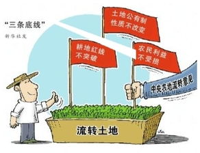 承包農(nóng)村土地注意事項(xiàng)