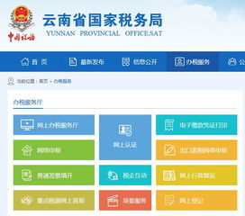 網(wǎng)上報稅注意事項