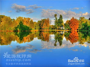 額濟(jì)納旗,注意事項(xiàng),旅游,胡楊