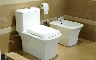 坐便器安裝注意事項(xiàng)切莫胡亂安裝留下隱患,墻排坐便器安裝注意事項(xiàng),坐便器方位注意事項(xiàng)