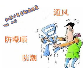 廈天刷乳膠漆注意事項(xiàng)