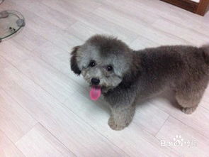 注意事項(xiàng),生理期