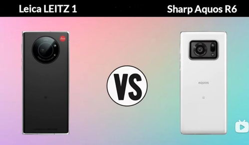 華為,注意事項,p1o