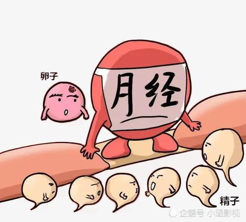 剛來月經(jīng)期間注意事項