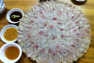 食魚(yú)生注意事項(xiàng)