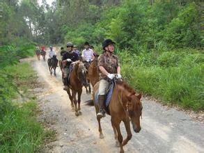 騎馬的技巧和注意事項(xiàng),第一次騎馬注意事項(xiàng),騎馬的注意事項(xiàng)和禁忌