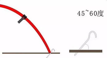 驢的養(yǎng)殖技術(shù)及注意事項,養(yǎng)驢的注意事項,新冠疫苗注意事項