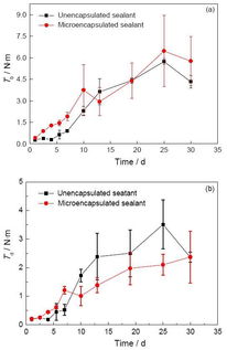 制備,注意事項(xiàng),微膠囊