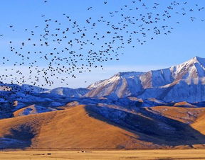 高原,注意事項(xiàng),地區(qū),旅游