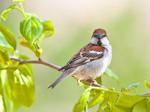 結(jié)構(gòu)膠使用注意事項,ab膠使用注意事項,uv膠使用注意事項