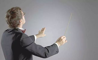 注意事項(xiàng),指揮