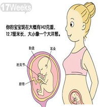 幾周,注意事項(xiàng),懷孕