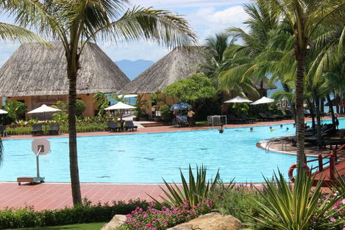 行去,注意事項,自由