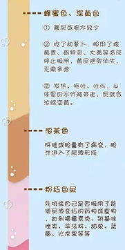 尿液,樣本,注意事項,收集