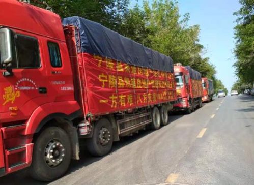 抗洪救災(zāi)慈善活動注意事項