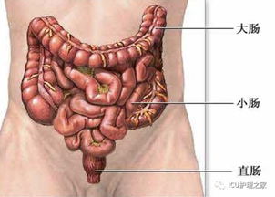 結(jié)腸,注意事項(xiàng),灌洗