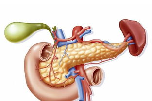 膽囊切除后應注意事項,做了膽結(jié)石膽囊切除后應注意事項,做完子宮卵巢切除手術后應注意事項