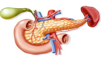 胰腺,腫瘤,注意事項(xiàng)