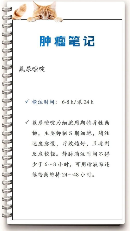 注意事項(xiàng),丙泊酚輸注