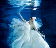 舍不得忘記你的魚(yú)