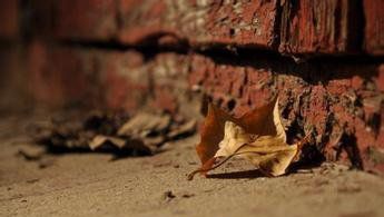 競(jìng)爭(zhēng)對(duì)手成知心愛(ài)人