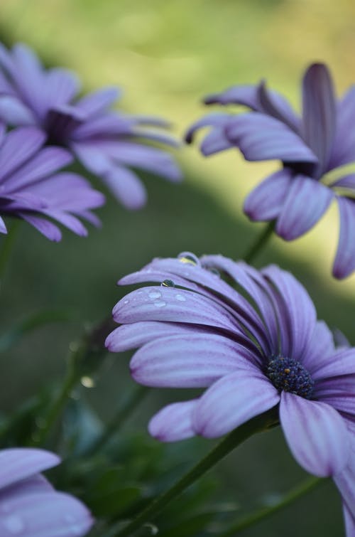 男性長輩生日祝福語