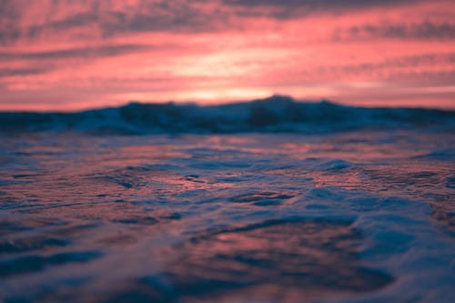 五年級散文天涯碧草話斜陽