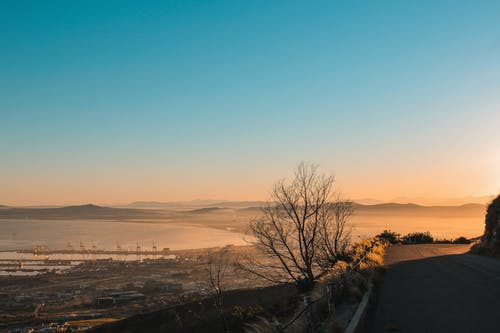 爽文帝皇狂婿小說(shuō)陳玄應(yīng)南霜無(wú)刪減閱讀