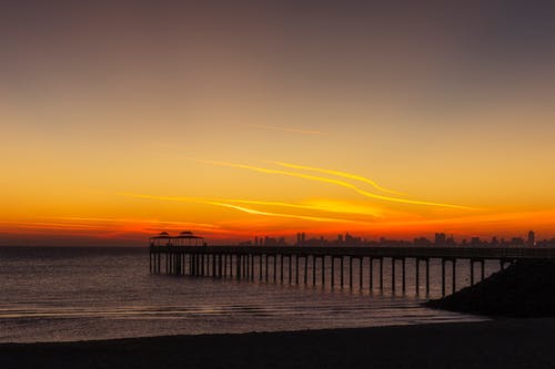 醫(yī)神戰(zhàn)尊小說(shuō)上門(mén)婿林昊秦蕓汐免廣告閱讀